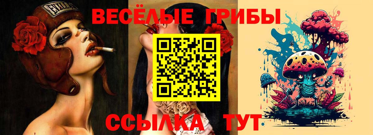 Псилоцибиновые грибы GOLDEN TEACHER  Псилоцибиновые грибы Cubensis  Вход с VPN  Междуреченск 